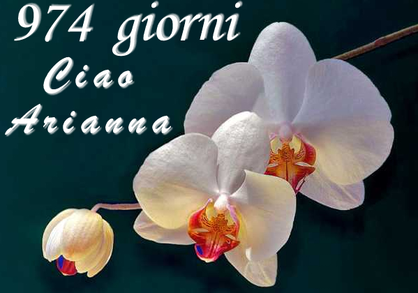 974 giorni...