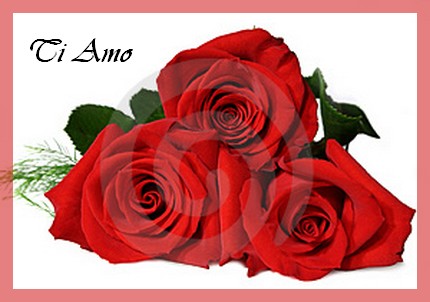 rose-rosse.jpg