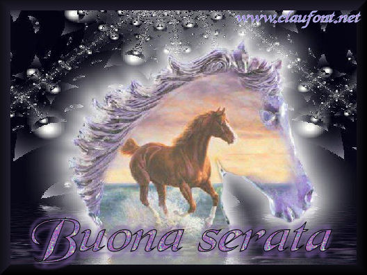 user116buonaserata55zn1.jpg